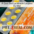 À Quoi Sert Le Miracle Léopard Du Miel new05